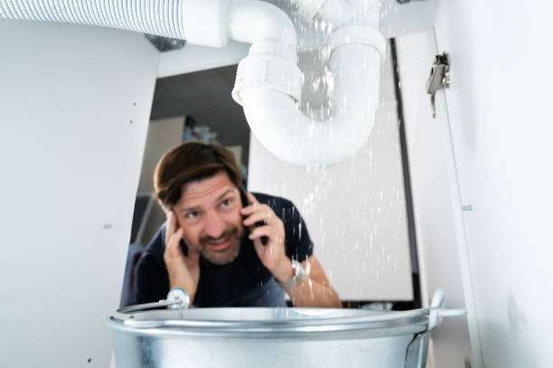 Best Septic Systems  in New Port Richey East, FL