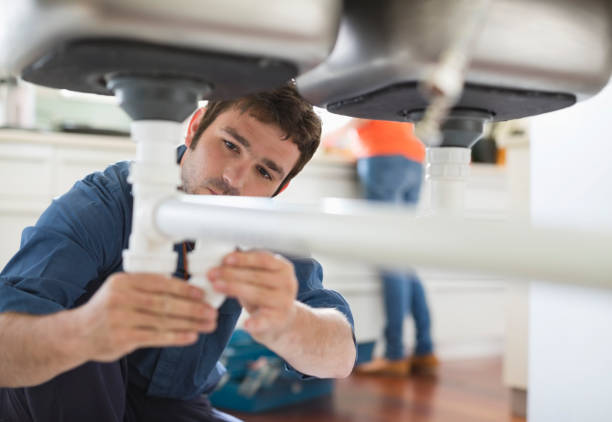Best Clogged Drain Plumber  in New Port Richey East, FL